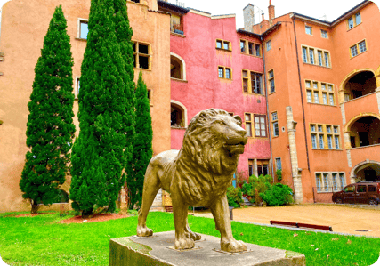 lyonvly_arr lyonvly_arr